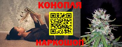 шишки Новозыбков