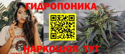 хмурый Новодвинск