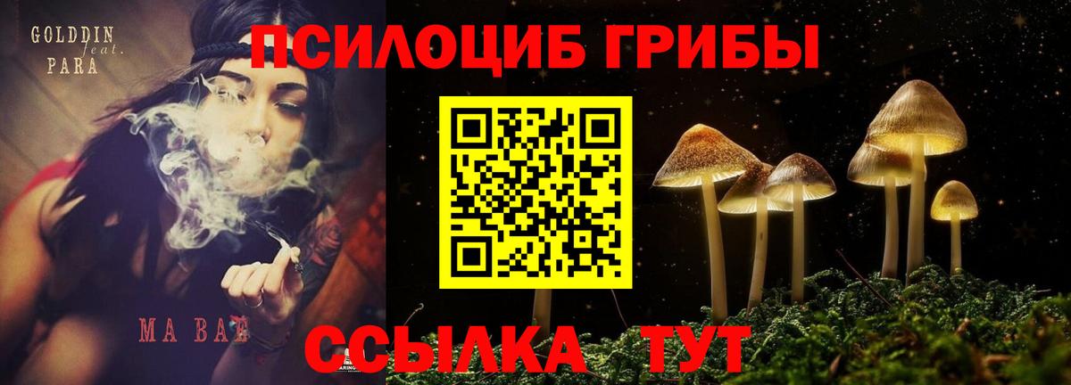Псилоцибиновые грибы GOLDEN TEACHER  Вход с VPN  Соликамск 